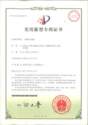 公司自主知識(shí)產(chǎn)權(quán)與知識(shí)產(chǎn)權(quán)服務(wù)的全面解析